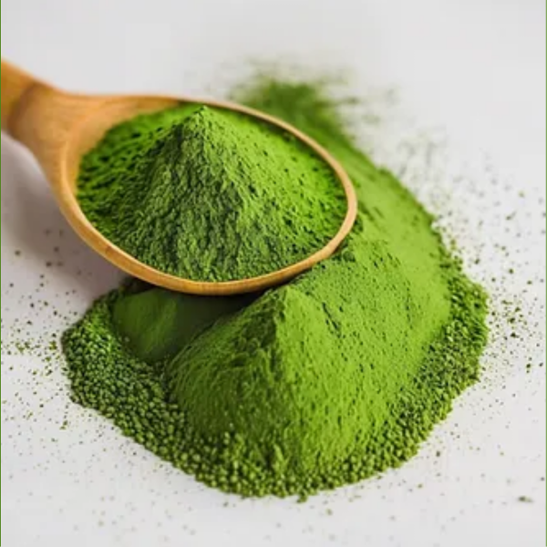 Wheatgrass powder